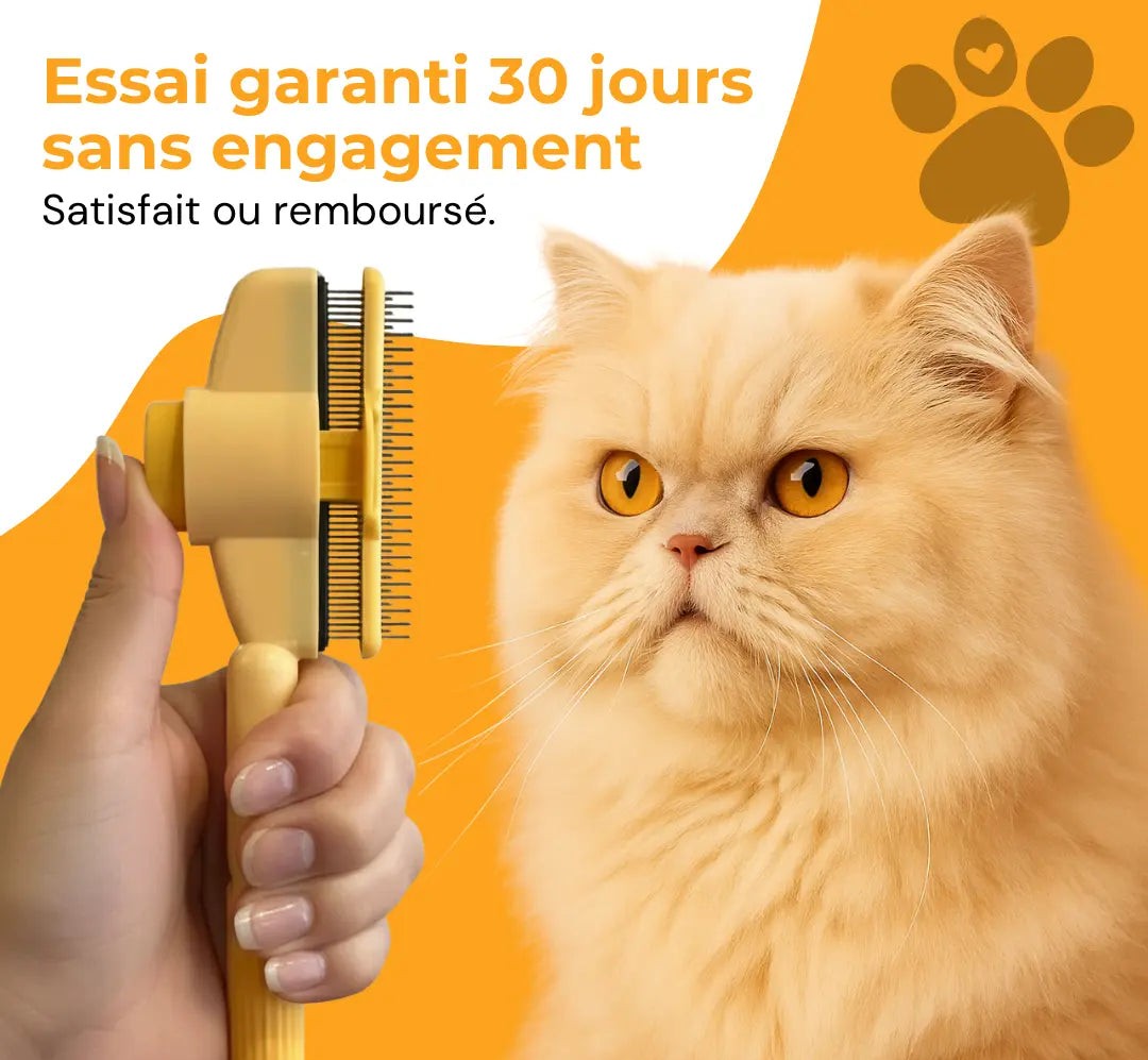 Carademia™ - Brosse pour chat