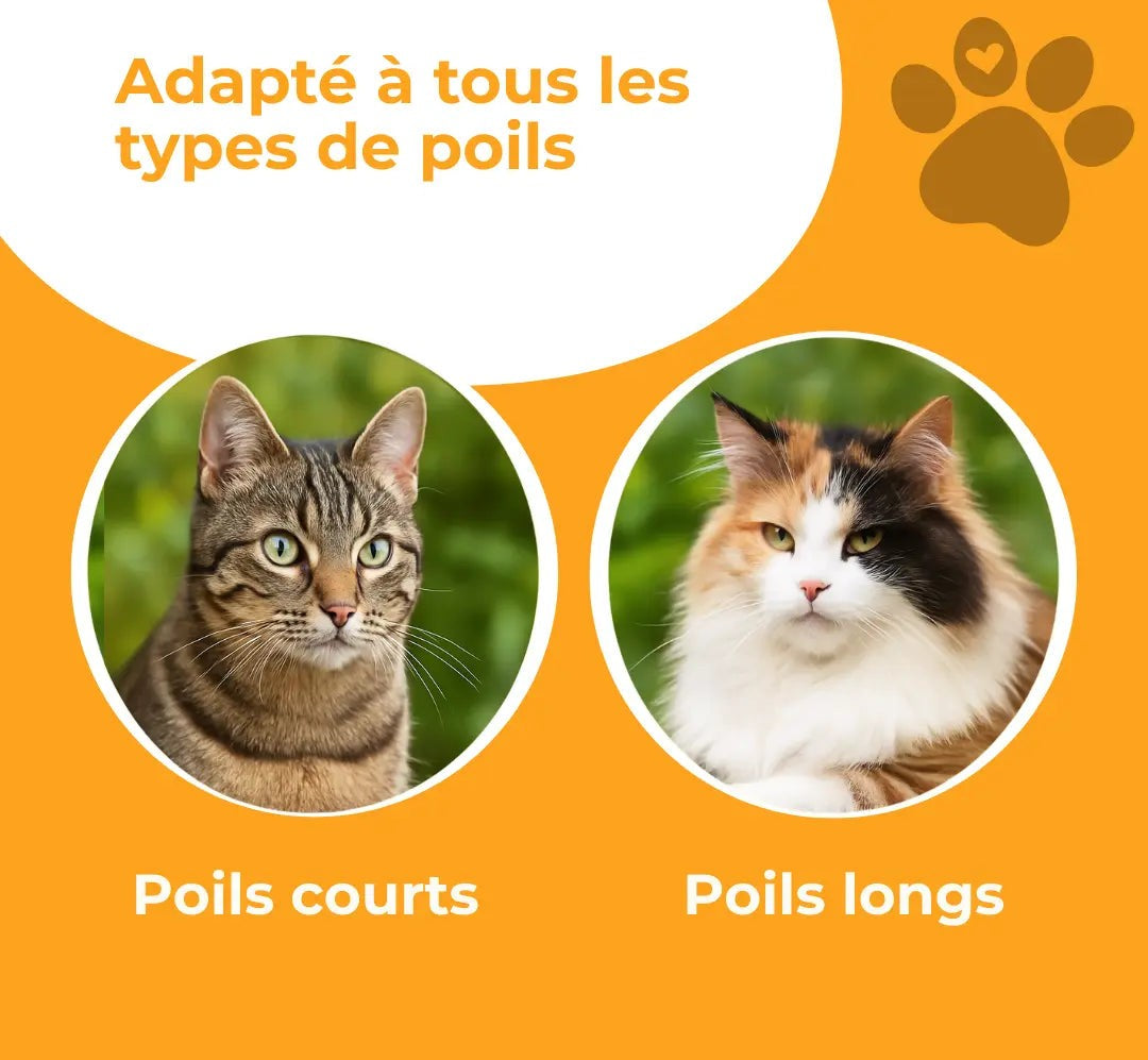 Carademia™ - Brosse pour chat