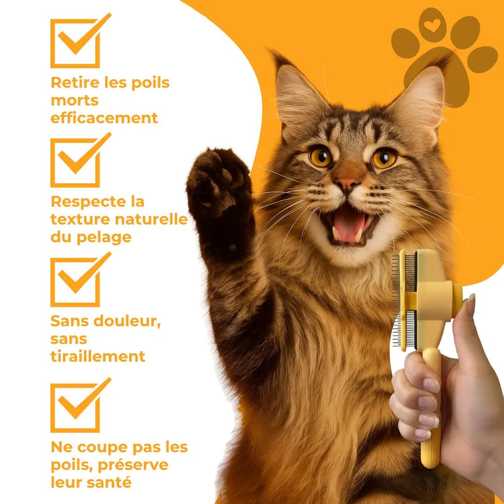 Carademia™ - Brosse pour chat
