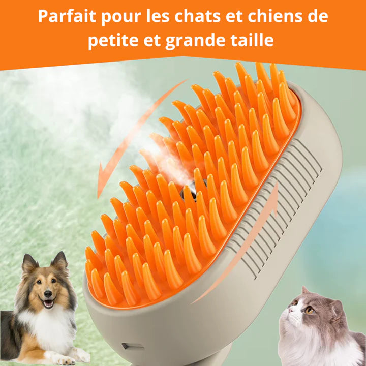 Brosse à vapeur apaisante