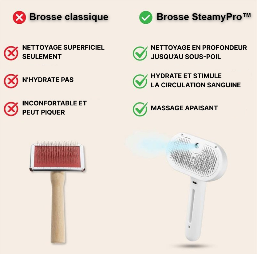 Brosse SteamyPro™