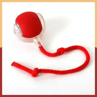 ChaseToy™ - Balle interactive