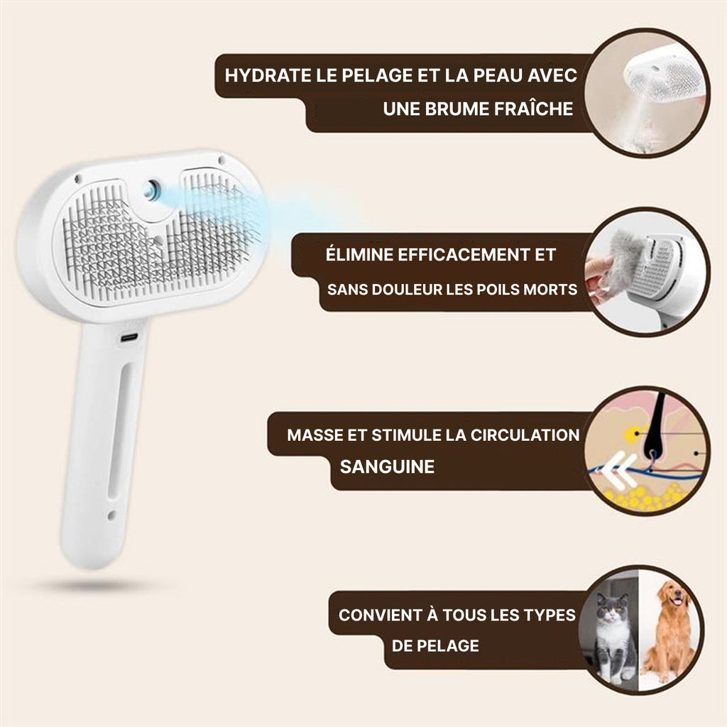 Brosse SteamyPro™