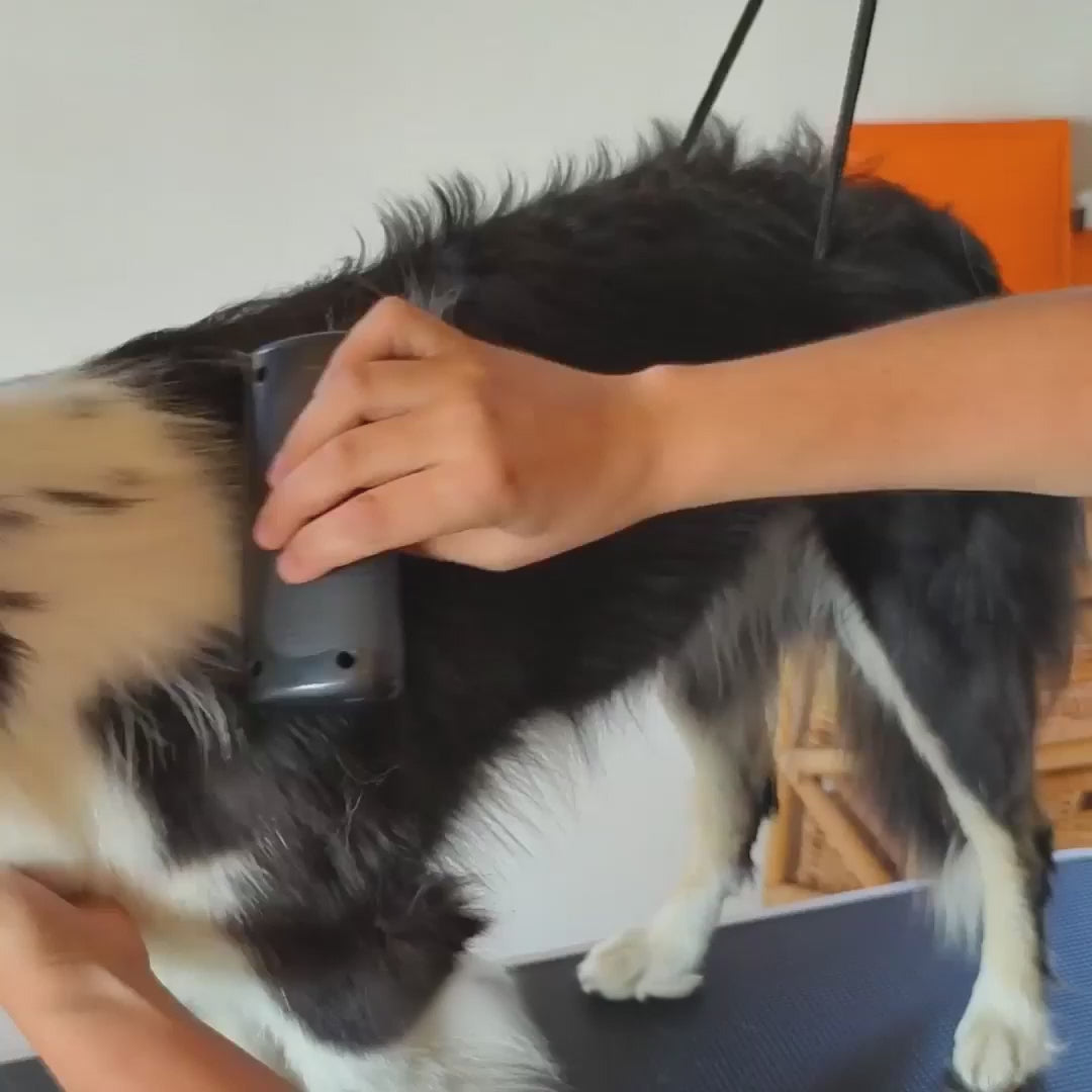 Vidéo